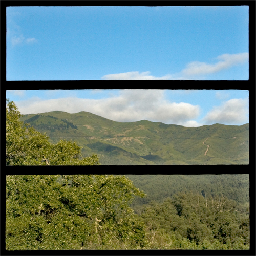 Picture Window